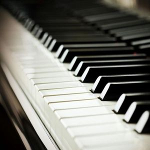 日本免费黄色电影
