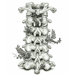 日本免费黄色电影
